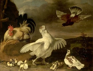 Haan en hen met kuikens en duiven