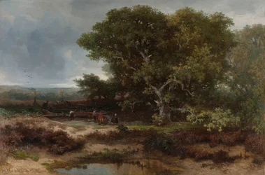 De heide bij Wolfheze