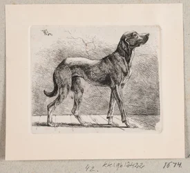 Een staande hond