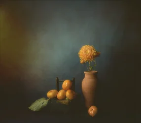 Stilleven met herfstkaki’s