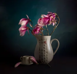 Elegant stilleven met magnolia’s