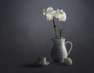 Elegant stilleven met orchideeën