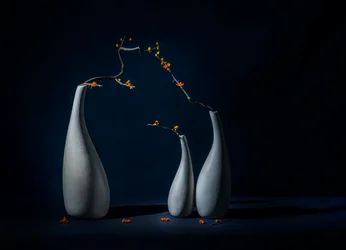 Elegante vazen met bloemen