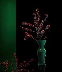 Elegante winterbessen