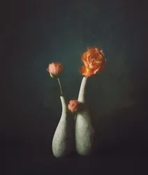 Moody Rose-vazen