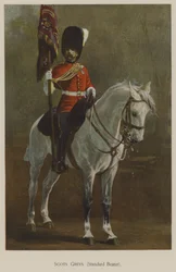Scots Greys, vaandeldrager