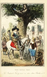 Koning Karel II verstopt zich in een eik in Boscobel Wood, na de Slag bij Worcester