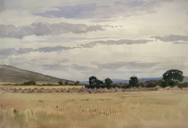 Landschap met Korenveld