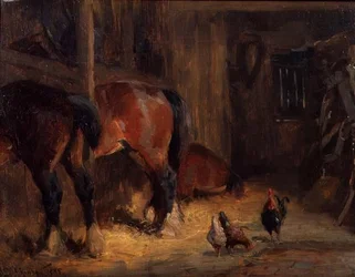 Een stalinterieur met paarden en kippen