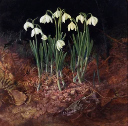 Perce neige (perce-neige). Peinture de John Atkinson Grimshaw (1836-1893)