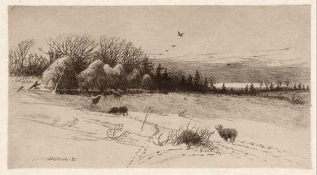Schapen in de Sneeuw