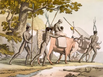 Vol II Pl.55 Korah Hottentotten van de Kaap onderweg, uit 