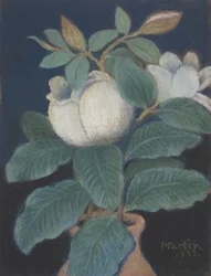 Magnolia Bloesems, 1933