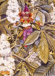 Cupido