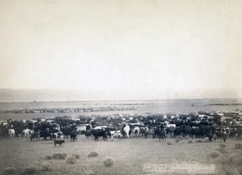 Cowboys die vee hoeden, South Dakota c.1890