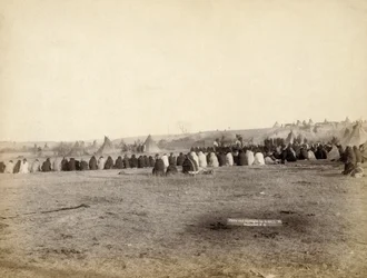 Indiase Raad in vijandig kamp, 1891