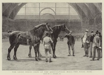 Het Shire Horse Show in de Agricultural Hall, het laatste duel