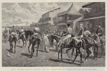 Ascot Races, paarden passeren de koninklijke loge op weg naar de startlijn