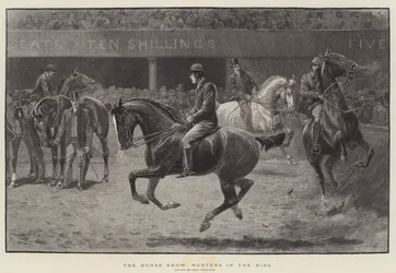 De Paardenshow, jagers in de ring