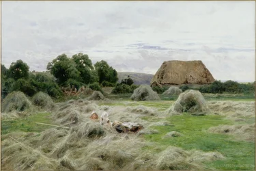 Hooiveld