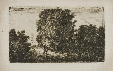 Bomen langs een weg