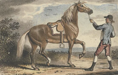 Staljongen die een Paard vasthoudt in een Landschap