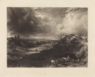 Een heide