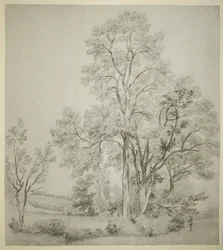 Een rij iepen (recto); Een studie van East Bergholt met de kerk (verso)