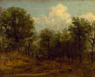 Een bos (olieverfschilderij)
