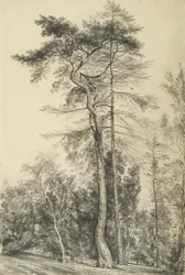 Sparren, c.1833