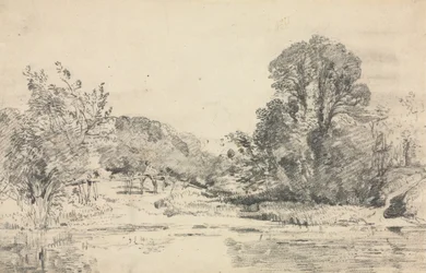Landschap met bomen rond een vijver