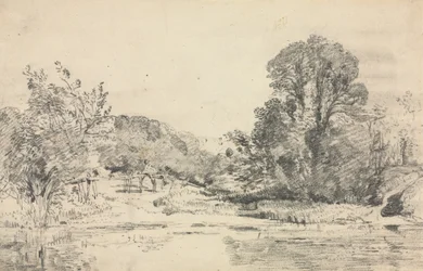 Landschap met bomen rondom een vijver