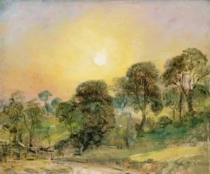 Bomen op Hampstead Heath bij zonsondergang