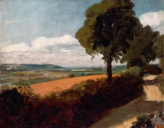 Uitzicht vanaf een weg naar East Bergholt