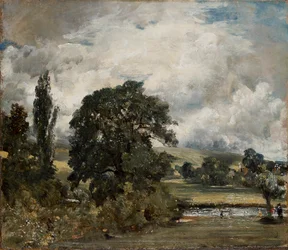 Waterweiden bij Salisbury