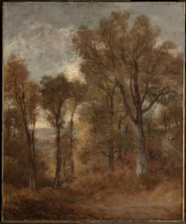 Boslandschap met uitzicht op Dedham Vale