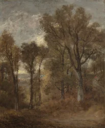 Boslandschap met uitzicht op Dedham Vale