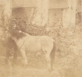 [Man en paard, Government House, Allahabad], 1858