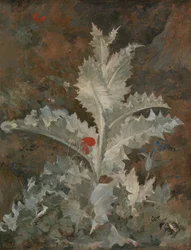 Een distel