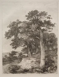 Bij Colney