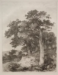 Bij Colney