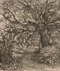 Bij Trowse, uitgegeven door J. & W. Freeman