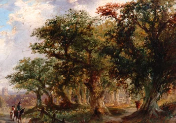 Landschap