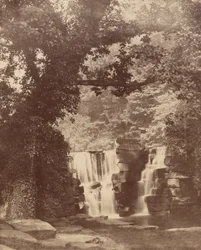 De bovenste watervallen, bossen in de Penllergare-vallei, ca. 1852 (foto)