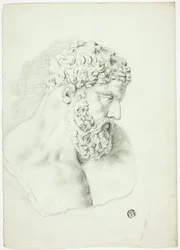 Buste van man met baard