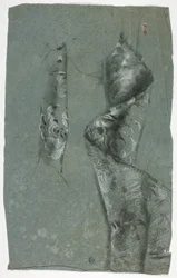 Gevouwen brokaat