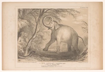 Spotprent met Lord Ellenborough als een wilde olifant