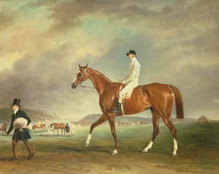 De Cur kastanjebruine renpaard met jockey op Newmarket Heath