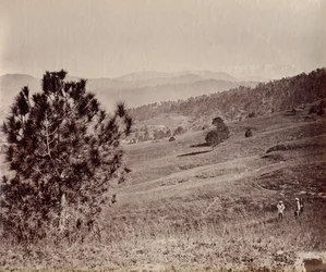 Landschap met boom en drie mannen, India