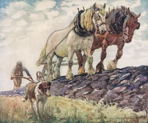Ploegen van het veld, illustratie uit 
